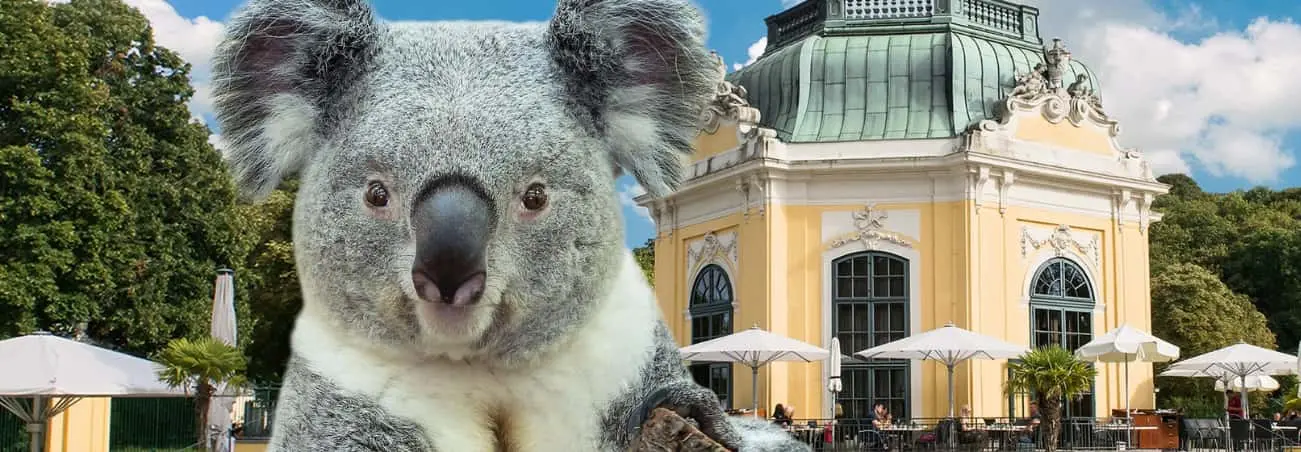 Schonbrunn Zoo Skip The Line Tickets